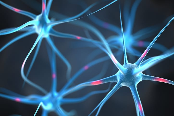 image of brain neurons
