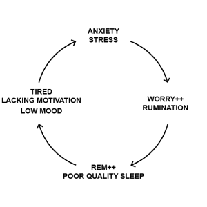 cycle of anxiety / depression